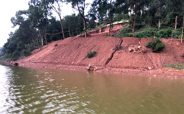 Thông tin từ đường dây nóng